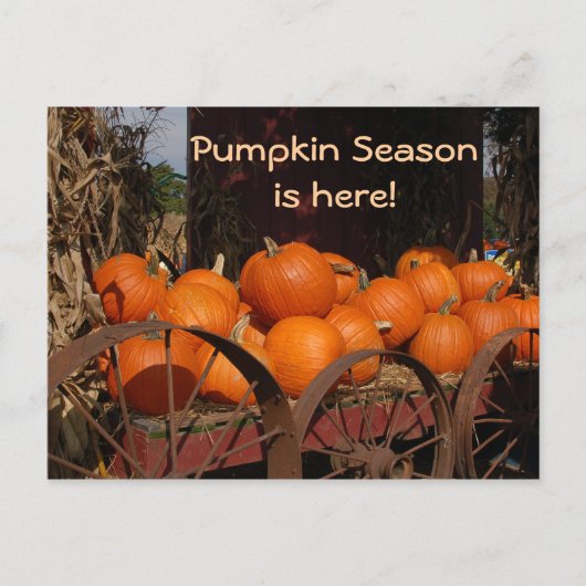 Pumpkin Wagon Foto Postcard Postkarte (Vorderseite)