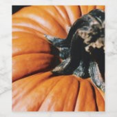 Pumpkin Weinetikett (Einzelnes Label)