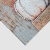 Pumpkin White Herbst Rustikales Landhaus Seidenpapier (Ausschnitt)