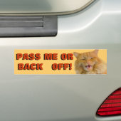 Pumpkin yells "back off" Cat Meme Autoaufkleber (Auf Auto)