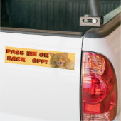 Pumpkin yells "back off" Cat Meme Autoaufkleber (Auf Lkw)