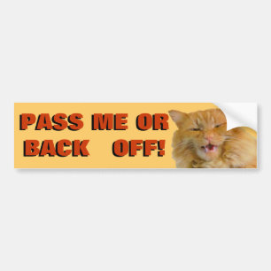 Pumpkin yells "back off" Cat Meme Autoaufkleber