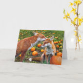 "Pumpkinpatch Foxes" Gruß-Karte Karte (Gelbe Blume)