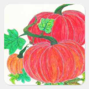 Pumpkinpflaster Quadratischer Aufkleber