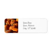 Pumpkins-Adressetikett (Vorne)