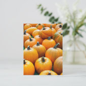 PUMPKINS AUTUMN FALL HARVEST POSTCARDS POSTKARTE (Stehend Vorderseite)