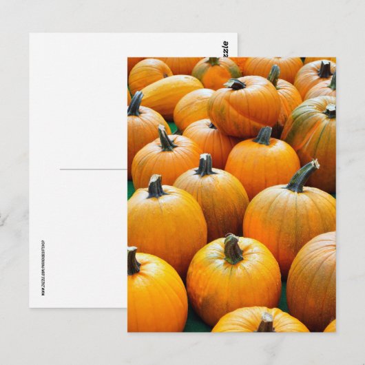 PUMPKINS AUTUMN FALL HARVEST POSTCARDS POSTKARTE (Vorne/Hinten)