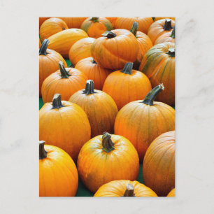 PUMPKINS AUTUMN POSTCARDS POSTKARTE