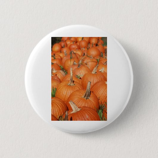 PUMPKINS! BUTTON (Vorderseite)