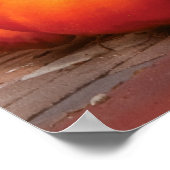 Pumpkins - Die Gang ist hier Poster (Ecke)