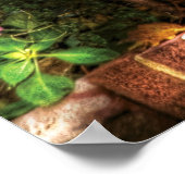 Pumpkins - Drei Pumpkins Poster (Ecke)