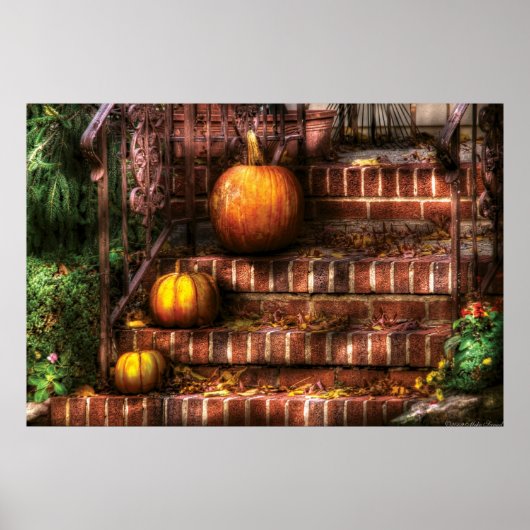 Pumpkins - Drei Pumpkins Poster (Vorne)
