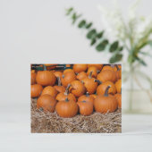 Pumpkins Fall Postcard Postkarte (Stehend Vorderseite)