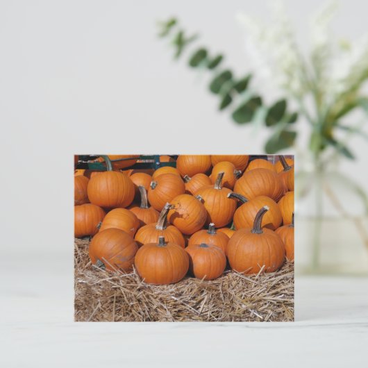 Pumpkins Fall Postcard Postkarte (Stehend Vorderseite)
