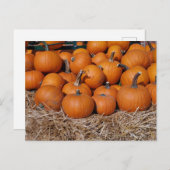 Pumpkins Fall Postcard Postkarte (Vorne/Hinten)