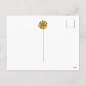 Pumpkins Feiertagspostkarte (Rückseite)