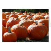 Pumpkins Foto für Herbst, Halloween oder Erntedank (Vorderseite (Horizontal))