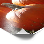 Pumpkins Foto für Herbst, Halloween oder Erntedank (Ecke)