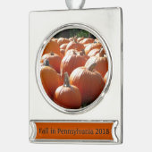 Pumpkins Foto für Herbst, Halloween oder Erntedank Banner-Ornament Silber (Links)