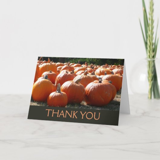 Pumpkins Foto für Herbst, Halloween oder Erntedank Dankeskarte (Vorderseite)