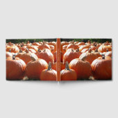 Pumpkins Foto für Herbst, Halloween oder Erntedank Gästebuch (Voll)