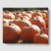 Pumpkins Foto für Herbst, Halloween oder Erntedank Gästebuch (Rückseite)