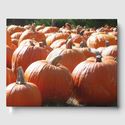 Pumpkins Foto für Herbst, Halloween oder Erntedank Gästebuch (Vorderseite)