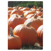 Pumpkins Foto für Herbst, Halloween oder Erntedank Klemmbrett (Rückseite)