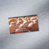 Pumpkins Foto für Herbst, Halloween oder Erntedank Magnetische Visitenkarte (Beispiel)