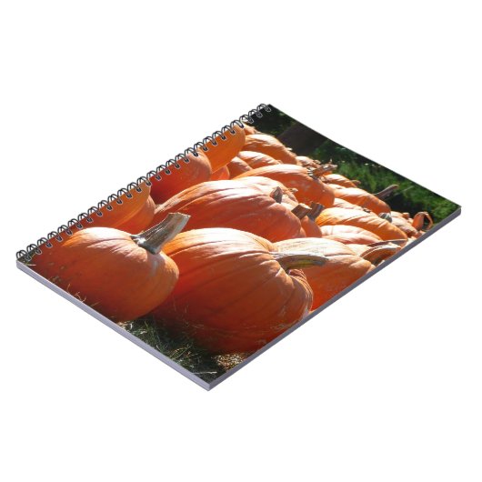 Pumpkins Foto für Herbst, Halloween oder Erntedank Notizblock (Linke Seite)