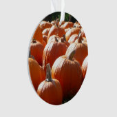 Pumpkins Foto für Herbst, Halloween oder Erntedank Ornament (Vorderseite)