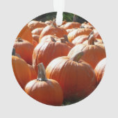 Pumpkins Foto für Herbst, Halloween oder Erntedank Ornament (Rückseite)
