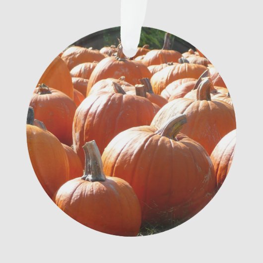 Pumpkins Foto für Herbst, Halloween oder Erntedank Ornament (Vorderseite)