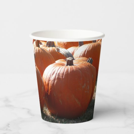 Pumpkins Foto für Herbst, Halloween oder Erntedank Pappbecher (Rückseite)