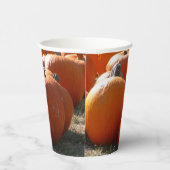 Pumpkins Foto für Herbst, Halloween oder Erntedank Pappbecher (Rechts)