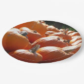 Pumpkins Foto für Herbst, Halloween oder Erntedank Pappteller (Schrägansicht)