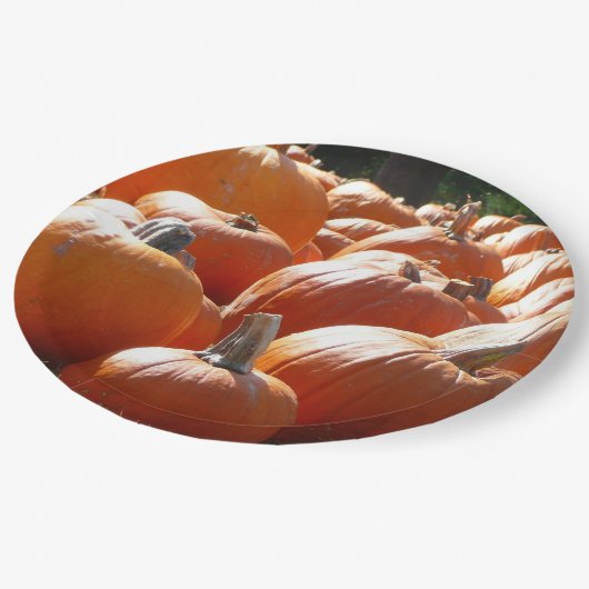 Pumpkins Foto für Herbst, Halloween oder Erntedank Pappteller (Schrägansicht)