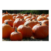 Pumpkins Foto für Herbst, Halloween oder Erntedank Poster (Vorderseite)