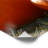 Pumpkins Foto für Herbst, Halloween oder Erntedank Poster (Ecke)