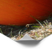 Pumpkins Foto für Herbst, Halloween oder Erntedank Poster (Ecke)