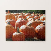 Pumpkins Foto für Herbst, Halloween oder Erntedank Puzzle (Horizontal)