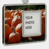 Pumpkins Foto für Herbst, Halloween oder Erntedank Rahmen-Ornament Silber (Rechts)