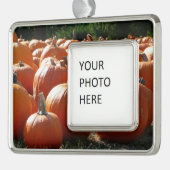 Pumpkins Foto für Herbst, Halloween oder Erntedank Rahmen-Ornament Silber (Links)