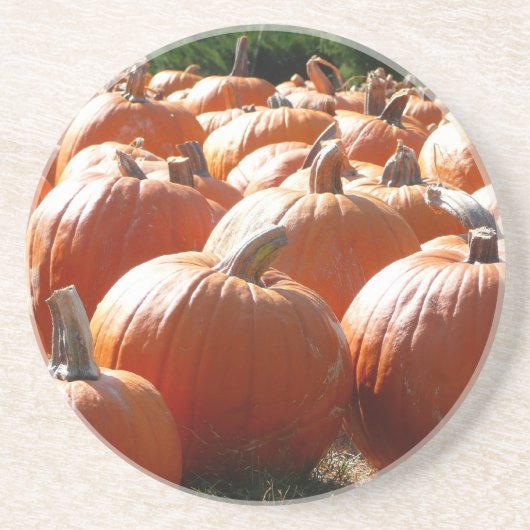 Pumpkins Foto für Herbst, Halloween oder Erntedank Sandstein Untersetzer (Vorne)