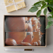 Pumpkins Foto für Herbst, Halloween oder Erntedank Seidenpapier (Geschenk)