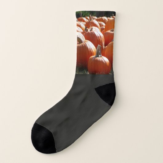 Pumpkins Foto für Herbst, Halloween oder Erntedank Socken (Links - Außen)