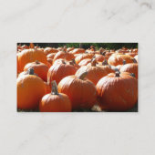 Pumpkins Foto für Herbst, Halloween oder Erntedank Visitenkarte (Rückseite)