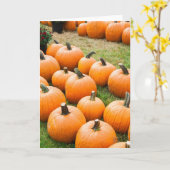 Pumpkins für den Verkauf auf einem Bauernmarkt Karte (Gelbe Blume)