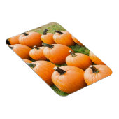 Pumpkins für den Verkauf auf einem Bauernmarkt Magnet (Rechte Seite)
