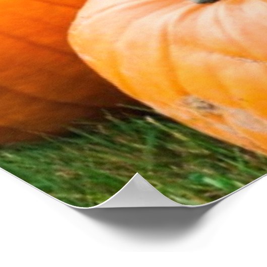 Pumpkins für den Verkauf auf einem Bauernmarkt Poster (Ecke)